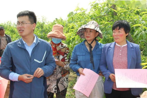 巾幗學黨史辦實事，志愿服務直通車助力鄉村振興齊魯行——聚焦開發區站的數據處理與存儲服務